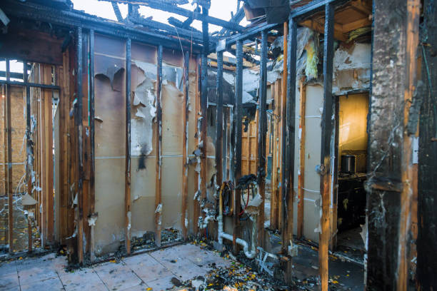 Professional Fire Damage Removal technician working in Monkton, MD